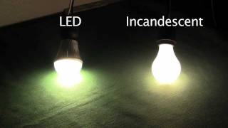 LED A19 Light Bulbs  Benefits amp Advantages over Incandescents [upl. by Yarled389]