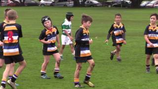 Border Junior Rugby Under 8s First Win 2017 [upl. by Carolee]