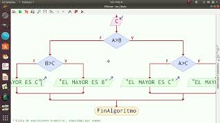 Pseint si anidados  2ºPYC [upl. by Kamin386]