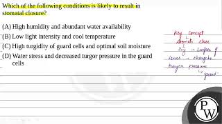 Which of the following conditions is likely to result in stomatal closure [upl. by Aiyot570]