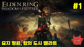 드디어 나온 엘든링 DLC 톨보이의 고통받는 노 영체 플레이 1 묘지 평원 탑의 도시 벨라트 [upl. by Coucher]