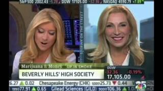 CNBC High Net Worth Pot for Marijuana Millionaires  Cheryl Shuman [upl. by Jaqitsch]