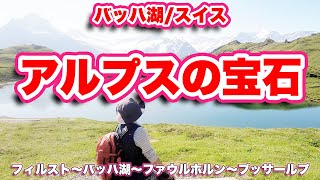 アルプスの宝石！絶景の湖【スイス観光】正面に氷河を望むバッハ湖（Bachsee）へトレッキング【旅行VLOG、レビュー】ユングフラウなど名山を見ながらフィルスト〜バッハ湖〜ファウルホルン〜ブッサールプ [upl. by Voe658]