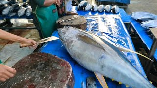 amazing skills Cut giant yellowfin tuna using just one sharp knife [upl. by Ainolopa]