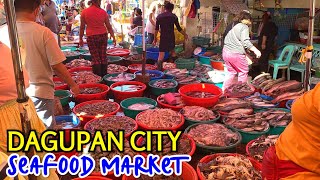 Amazing SEAFOOD MARKET SCENE of DAGUPAN PANGASINAN  Visiting Dagupan Fish Market Before New Year [upl. by Ayoral809]