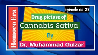 Drug picture of  Cannabis Sativa  In Homoeo Era  episode no 23 By Dr Muhammad Gulzar [upl. by Hanoy378]