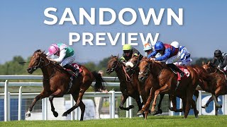 quotHes got loads in his favourquot  Weekend preview Sandown tips and best bets [upl. by Barron]