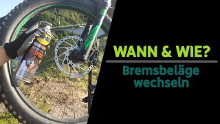 Wann und Wie Bremsbeläge bei Shimano und Magura wechseln  bicyclE [upl. by Eidnac]