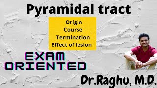 Pyramidal tract  Corticospinal tract  Upper motor neuron [upl. by Keryt]