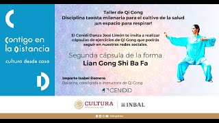 Segunda cápsula de la forma “Lian Gong Shi Ba Fa” [upl. by Kara]