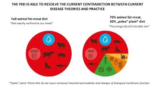 Paleolithic Ketogenic foods and quotextrasquot Paleoketogén ételek és pár meglepetés [upl. by Herzig]