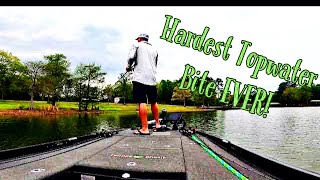 Toledo Bend Spring Bass Fishing A BIG BASS on TOPWATER [upl. by Aday317]