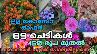 🌺🥰🤩 20 കോമ്പോ ഓഫറുകൾ 89 ചെടികൾ 150 രൂപgardeningplants garden [upl. by Sheffield]