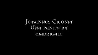 Johannes Ciconia  Una panthera [upl. by Mayne493]