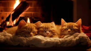 Fall asleep to Family Cats Purr amp Warm Fireplace 🔥 Relax in Cozy Winter Hut Deep Sleep [upl. by Yager]