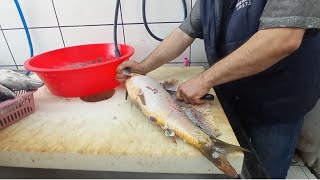 Sazan Balığı nasıl temizlenir Umarım beğenirsiniz 🙏 how to clean carp [upl. by Ennasor]