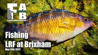 LRF Fishing at Brixham  May 10th 2022 [upl. by Ottie365]