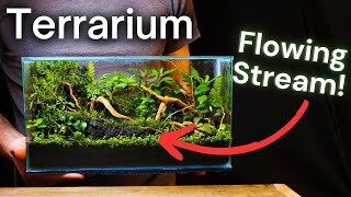 I Made a Terrarium With a FLOWING STREAM Here’s How [upl. by Seward]