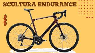 2025 MERIDA SCULTURA ENDURANCE 6000 Di2 £3300  Buyers Guide [upl. by Dorella]