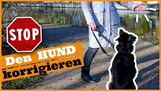 Hund korrigieren so gehts I Unerwünschtes Verhalten beim Hund richtig korrigieren [upl. by Balfour]