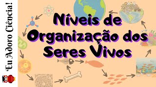 Níveis de Organização dos Seres Vivos de átomo à Biosfera [upl. by Nnaj]