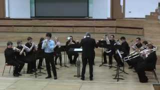 Cornet Solo The Southern Cross Herbert L Clarke [upl. by Zimmer579]