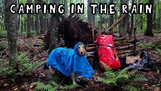 Camping in the Rain with My Dog [upl. by Chessy14]