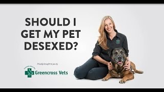 Greencross Vets  Should I Get My Pet Desexed [upl. by Aicirt883]