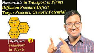 Numericals in Transport Of Plants I Diffusion Pressure deficit I NEET I Dr Kunal KT [upl. by Etnohs]