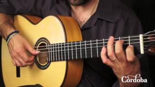 Cordoba Guitars  F10 Flamenco [upl. by Cynthy]