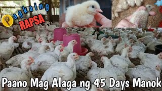 PAANO MAG ALAGA NG 45 DAYS MANOK  HOW TO RAISE BROILER CHICKEN  STEP BY STEP  PART 1 [upl. by Necaj]