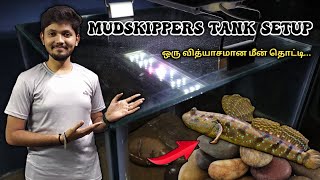 தண்ணி இல்லாமல் மீன் வளர்க்கலாமாவாங்க பார்க்கலாம் 🤯  Mudskipper Tank Setup [upl. by Yerhcaz]