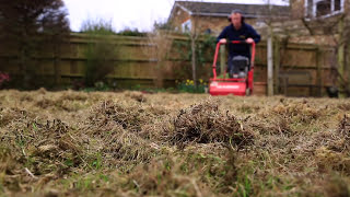 Lawn Scarification  Correct Scarification Procedure [upl. by Ainekahs958]