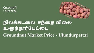 நிலக்கடலை சந்தை விலைஉளுந்தூர்பேட்டை  Groundnut Market Price  Ulundurpettai  13092024 [upl. by Anasor938]