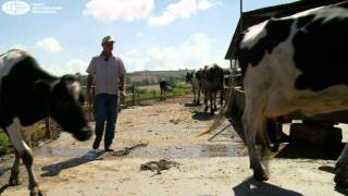 Nazaten Nederlandse pioniers boeren goed in Brazilie [upl. by Ecirtaeb351]