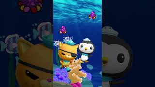 quotUnleashing Adventure Join the Octonauts on Epic Underwater Expeditionsquot  The Octonauts [upl. by Nilla]