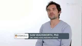 Why Use AirLiquid Interface Cultures for Respiratory Research QampA with Dr Wadsworth [upl. by Eluj]