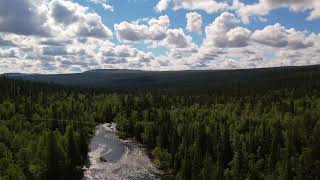 Skog och jakt vid Ljungdalen  Berg Ljungdalen 188 ha [upl. by Lauren]