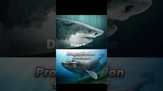 Otodus Chubutensis vs Sea Predators paleontology paleo shark megalodon vs dinosaurs animals [upl. by Cowie]