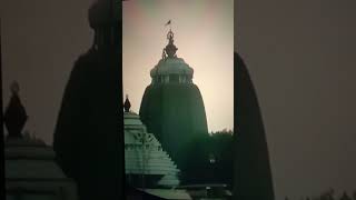 Flag at Jagannath Temple puri flies in opposite direction of the wind Jai Jagannath🙏 puri [upl. by Dahc]