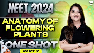 Anatomy of Flowering Plants  One shot  Part 2  NEET 2024  Seep Pahuja [upl. by Ahsiekahs]