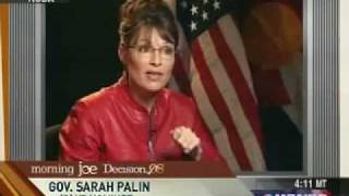 Sarah Palin Gets VP Job Description Wrong [upl. by Hayott641]