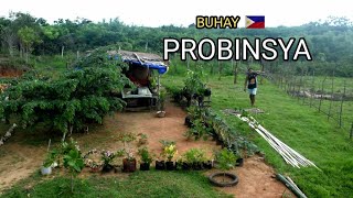 Simple but nutritious boodle fight in province Life in the Mountain Biag ti Away by balong [upl. by Riesman]