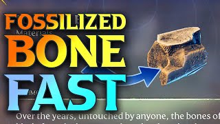 Enshrouded Fossilised Bone [upl. by Oibesue360]