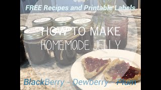 EASY RECIPE How To Make Your Own Jelly  DewberryBlackberryPlum  Free Recipes amp Printable Labels [upl. by Sigmund]