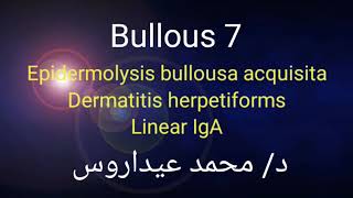 7 Epidermolysis bullous a acquisita 🔺 Dermatitis herpetiforms 🔺 Linear IgA by Dr Mohamed Aidaros [upl. by Nura]