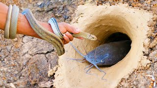 Unbelievable Fishing Technique  Use A Snake To Catch Fish In A Pit Deep In The Ground Fishing2022 [upl. by Ednutey]