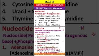 nucleotides structurebiomolecules biomoleculespyq [upl. by Eniarrol]