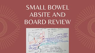 Small Intestine ABSITE and Board Review [upl. by Aubyn]