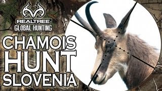 EPIC Chamois Hunting in Slovenia [upl. by Netnert]